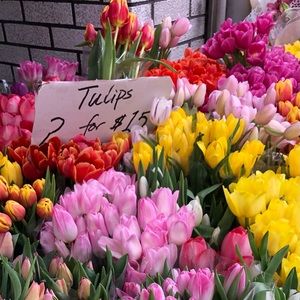 Meet your Posher, Emma